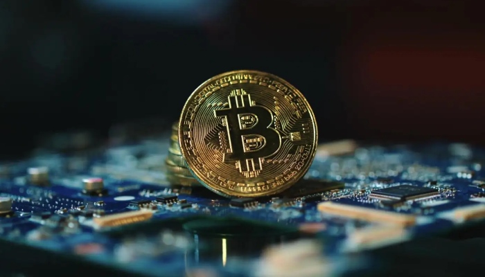 本周最值得关注的五种山寨币盘点