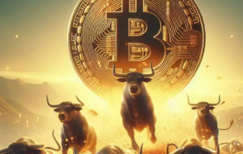 MINA币是什么？上线平台有哪些？一文了解