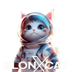 ElonXCat