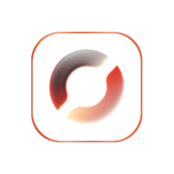 Oracle Finance Network